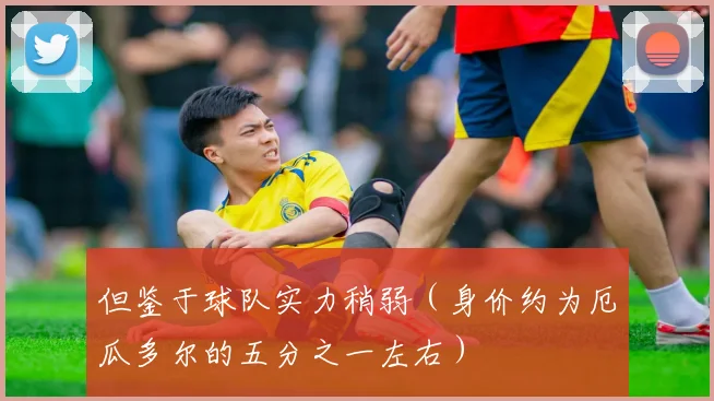 但鉴于球队实力稍弱（身价约为厄瓜多尔的五分之一左右）