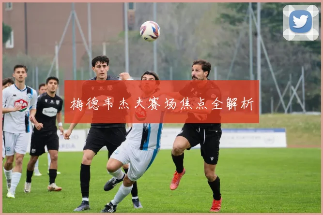 梅德韦杰夫赛场焦点全解析