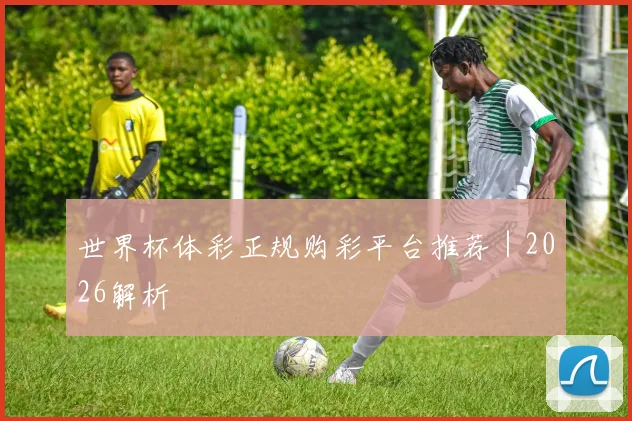 世界杯体彩正规购彩平台推荐｜2026解析