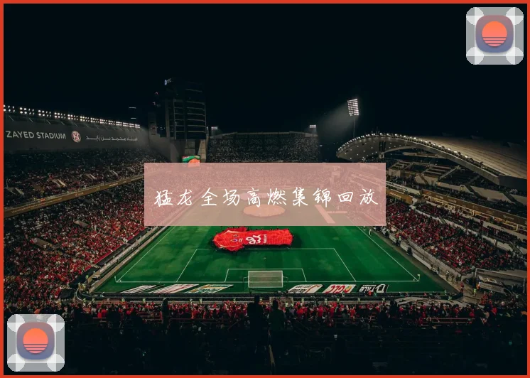 猛龙全场高燃集锦回放