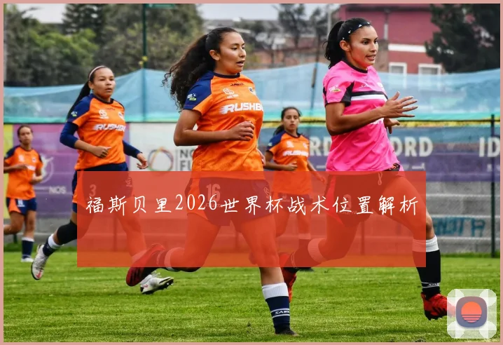 福斯贝里2026世界杯战术位置解析