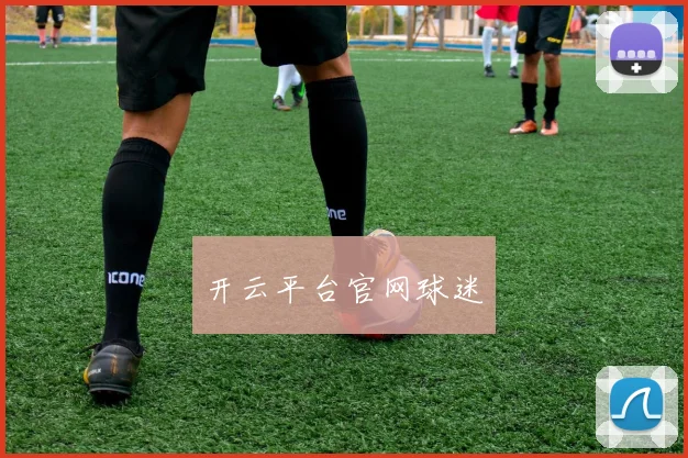 开云平台官网球迷