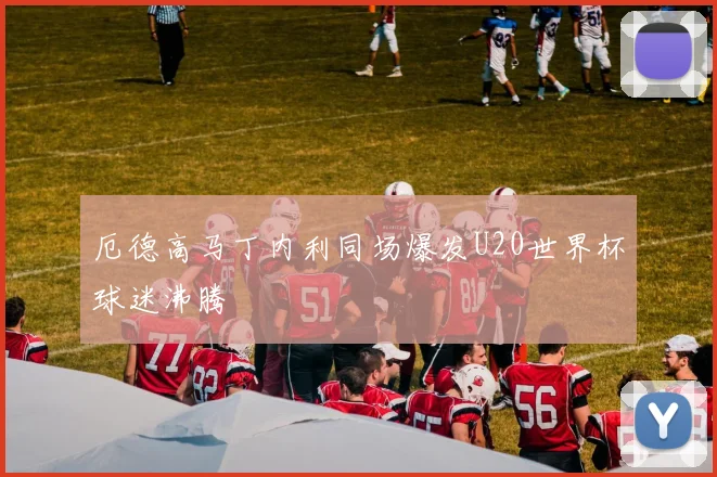 厄德高马丁内利同场爆发U20世界杯球迷沸腾
