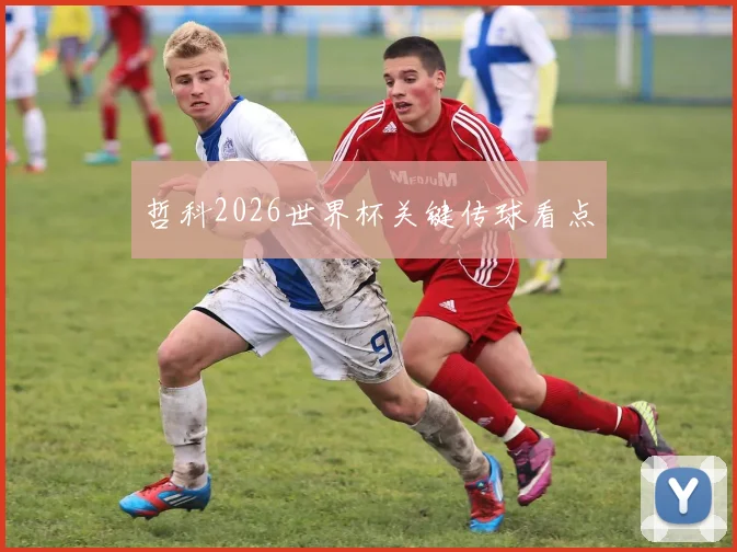 哲科2026世界杯关键传球看点