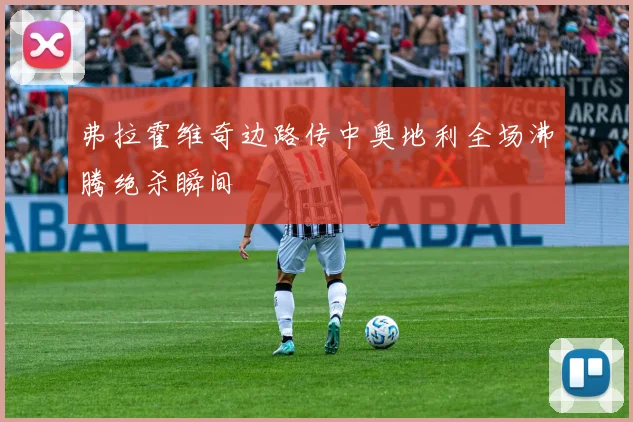弗拉霍维奇边路传中奥地利全场沸腾绝杀瞬间