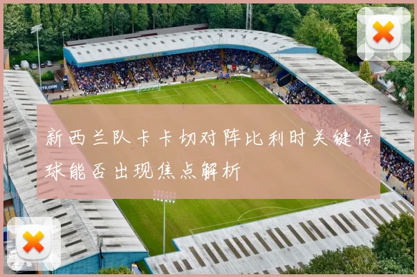 新西兰队卡卡切对阵比利时关键传球能否出现焦点解析