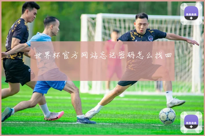 世界杯官方网站忘记密码怎么找回