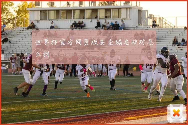 世界杯官方网页版安全域名核对怎么找